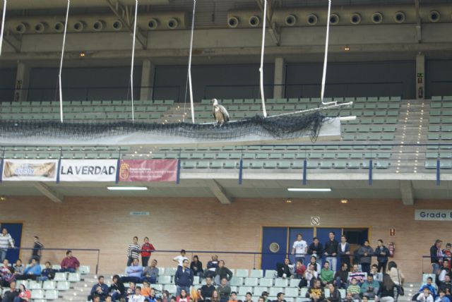 Cerca de 5.000 personas llevaron en volandas a ElPozo Murcia a la victoria - 1, Foto 1