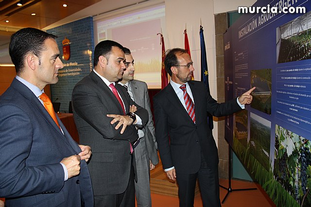 El Grupo Apia XXI invierte 55 millones de euros en Totana para construir siete innovadores invernaderos con cubierta fotovoltaica - 17