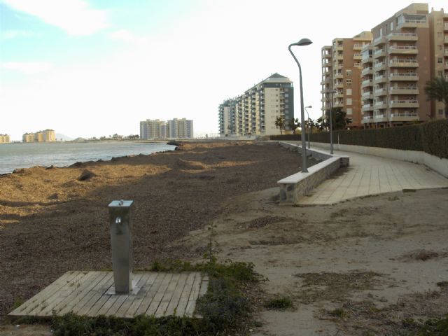 Las algas invaden las playas de La Manga norte a causa del temporal - 2, Foto 2