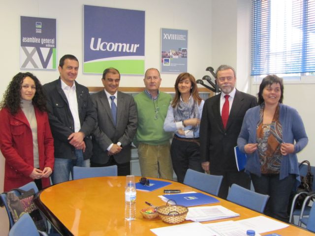 IU-Verdes dar prioridad a la economía social en la concesión de avales - 1, Foto 1