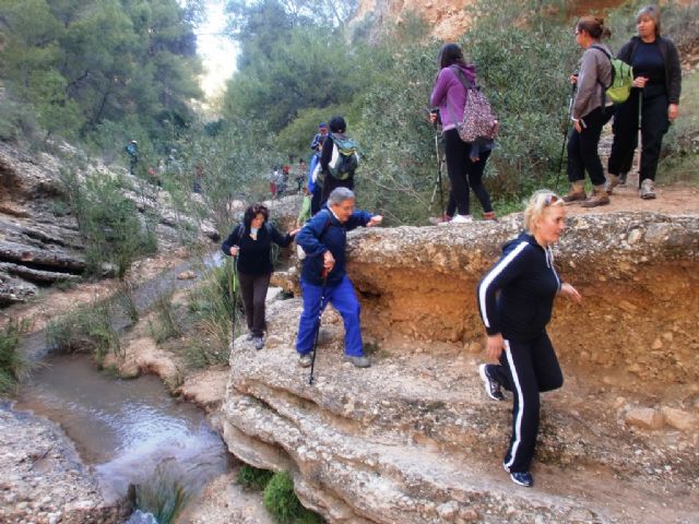 Cerca de 40 senderistas participaron en la ruta senderista que discurrió por el río Chicamo en Abanilla, Foto 1