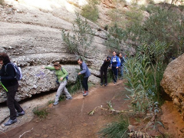 Cerca de 40 senderistas participaron en la ruta senderista que discurrió por el río Chicamo en Abanilla, Foto 2