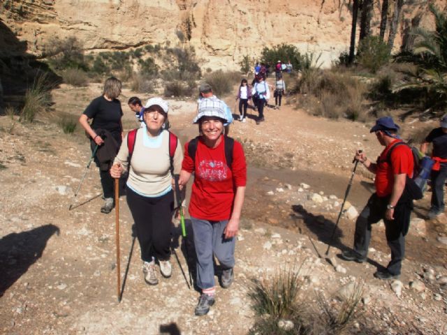 Cerca de 40 senderistas participaron en la ruta senderista que discurrió por el río Chicamo en Abanilla, Foto 3