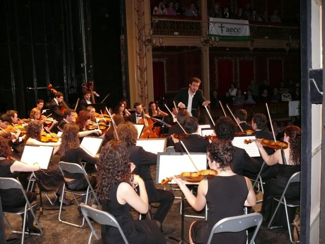 Más de medio millar de personas asistieron al concierto de la Orquesta Sinfónica en favor de la Asociación del Cáncer - 4, Foto 4