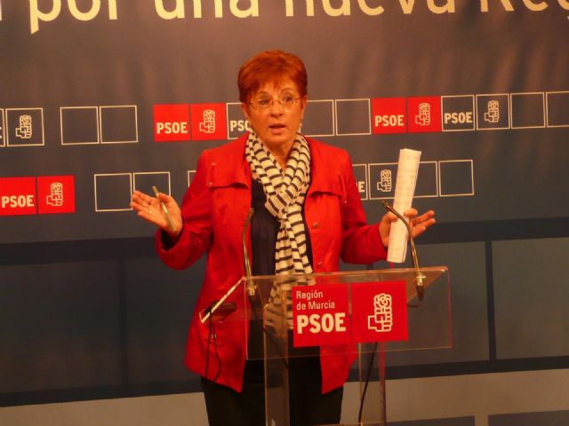 Retegui pide la comparecencia de Valcárcel en la Asamblea porque cree que está creando gran incertidumbre con el tema del copago - 1, Foto 1