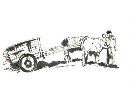 Un jubilado de noventa años publica un Diccionario de la vida campesina, tras veinte años de elaboración - 1, Foto 1