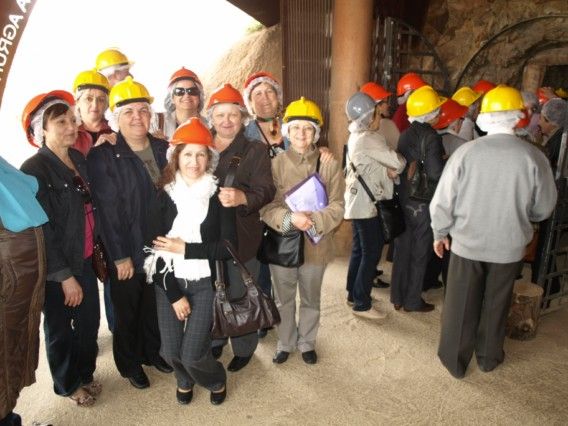 Cerca de 60 alguaceños realizan una visita cultural a La Unión - 2, Foto 2