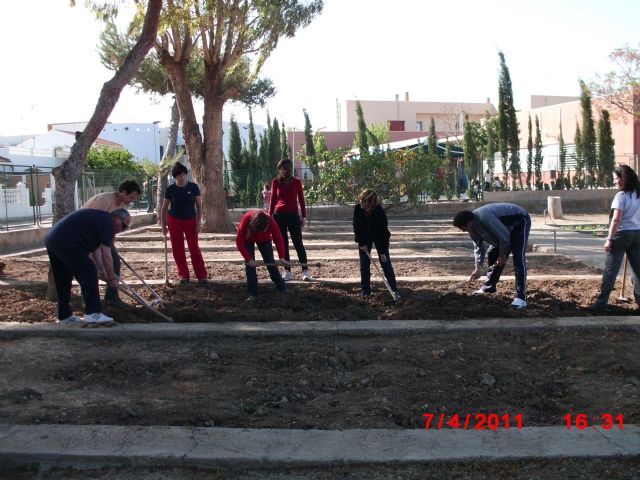 La concejalía de Medio Ambiente imparte un seminario sobre huertos escolares a 17 profesores de cuatro centros - 1, Foto 1