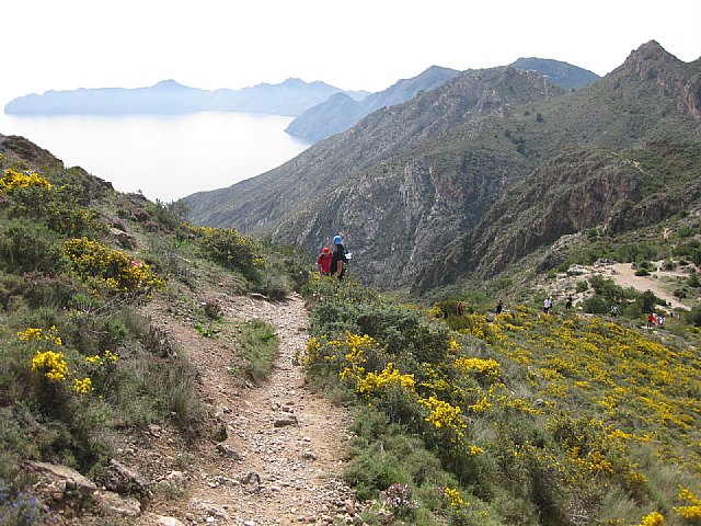 Atletas del CAT Totana finalizan con éxito la II Ruta de las Fortalezas - 4, Foto 4