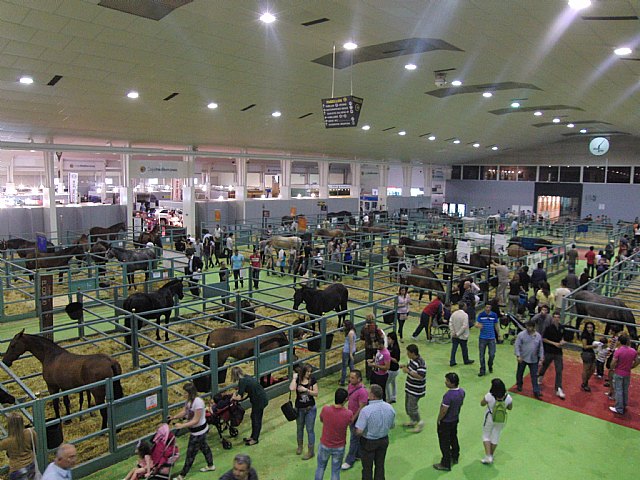 Se clausura EQUIMUR 2011 con la entrega de premios a los mejores caballos - 4, Foto 4