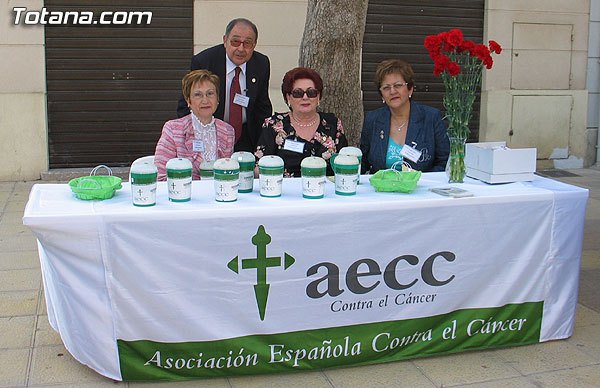 La Junta Local de la AECC recuerda que el próximo Domingo de Ramos tendrá lugar la tradicional cuestación - 1, Foto 1