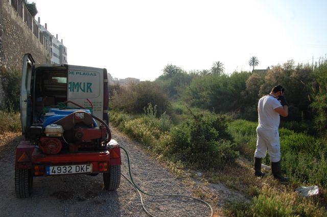 Comienza en Alguazas el tratamiento de plagas contra los mosquitos - 3, Foto 3