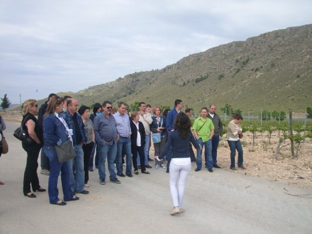 Visita a las bodegas jumillanas - 2, Foto 2