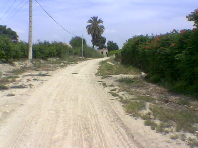 HUERMUR pide al Alcalde de Murcia el cese inmediato del pedáneo de La Ñora - 2, Foto 2