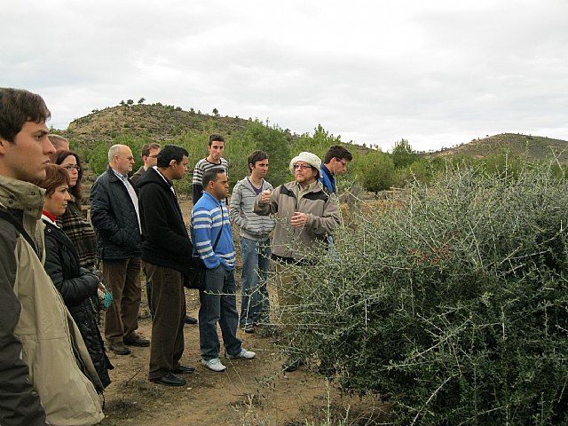 Una jornada técnica sobre forestación enseña cómo optimizar áreas poco aptas para cultivos - 1, Foto 1