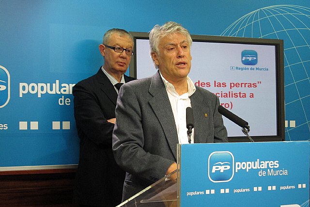 El PP dice que el Ródano “ha estado siempre en la mesa de Valcárcel y en el PHN de Aznar” - 1, Foto 1