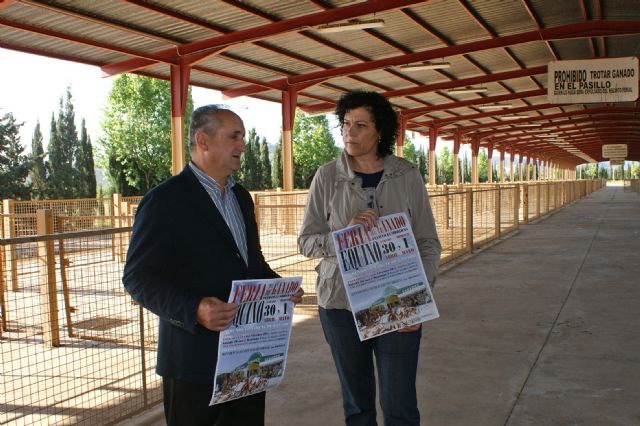 Puerto Lumbreras acogerá el próximo fin de semana la tradicional Feria de Ganado Equino con la participación de más de 500 cabezas de ganado - 1, Foto 1