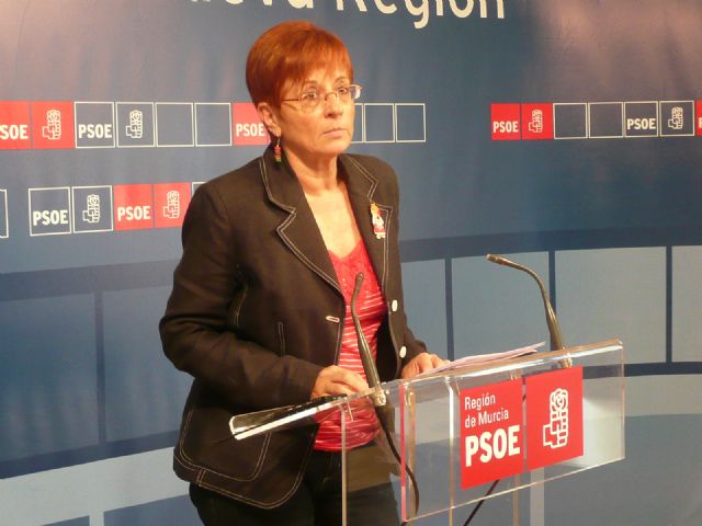 García Retegui afirma que hay 1.000 razones para que Valcárcel explique el Plan de Ajuste  en la Asamblea Regional - 1, Foto 1