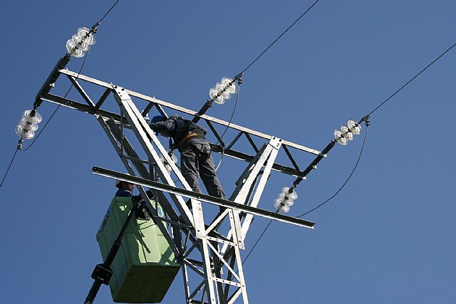 El Ejecutivo regional corrige más de 81.000 metros de tendidos eléctricos para proteger la avifauna - 1, Foto 1