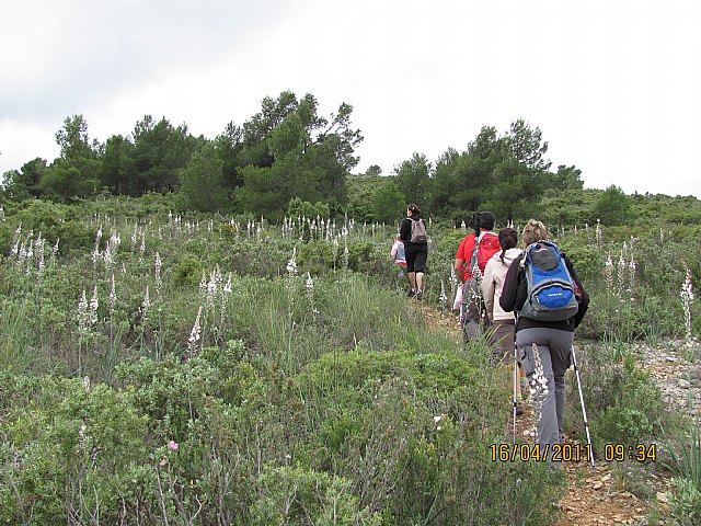 Los senderistas visitan Bullas - 2, Foto 2