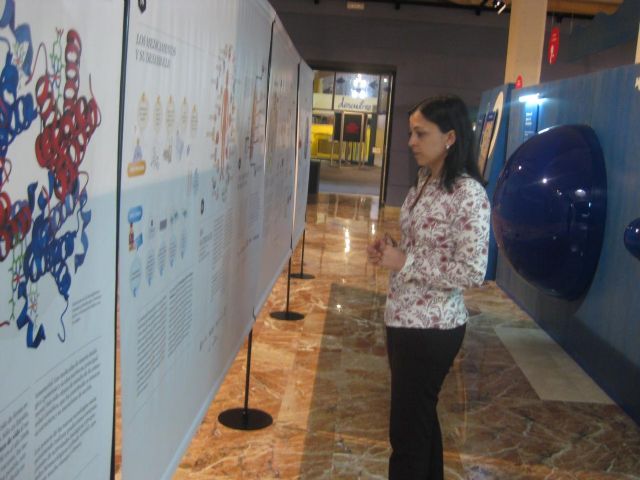 El Museo de la Ciencia se une a la celebración del Año de la Química con la exposición 'Entre moléculas' - 2, Foto 2
