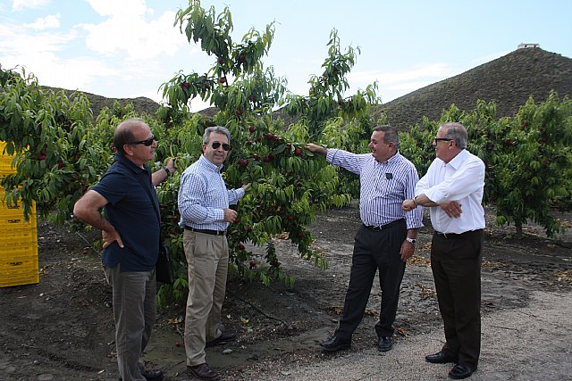 Cerdá dice que la agricultura debe responder a las demandas del mercado modernizando las explotaciones y diversificando la oferta - 1, Foto 1
