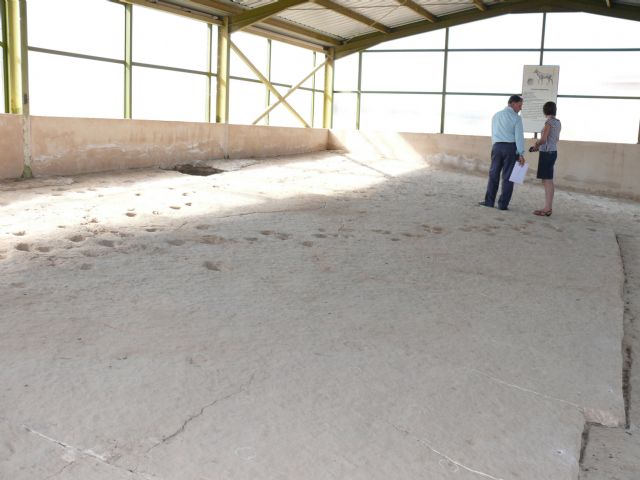 El próximo sábado 7 de mayo, Jumilla conmemora, por primera vez, el 'geolodía 11' con visitas a los yacimientos paleontológicos - 1, Foto 1