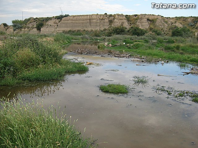 IU-Verdes pone en evidencia 
