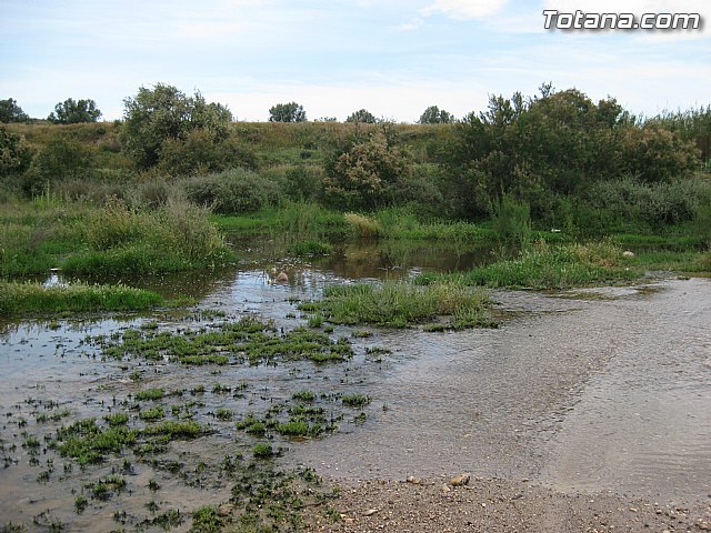 IU-Verdes pone en evidencia 