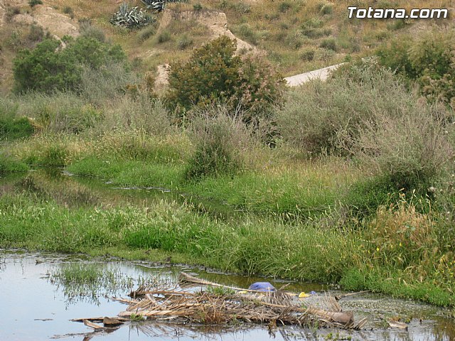 IU-Verdes pone en evidencia 
