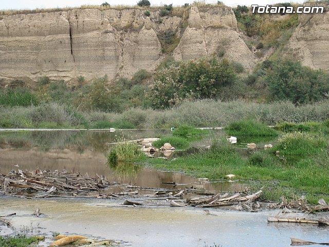 IU-Verdes pone en evidencia 