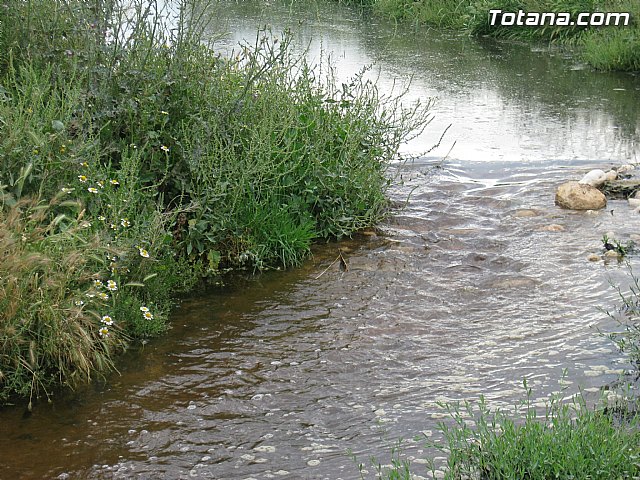IU-Verdes pone en evidencia 