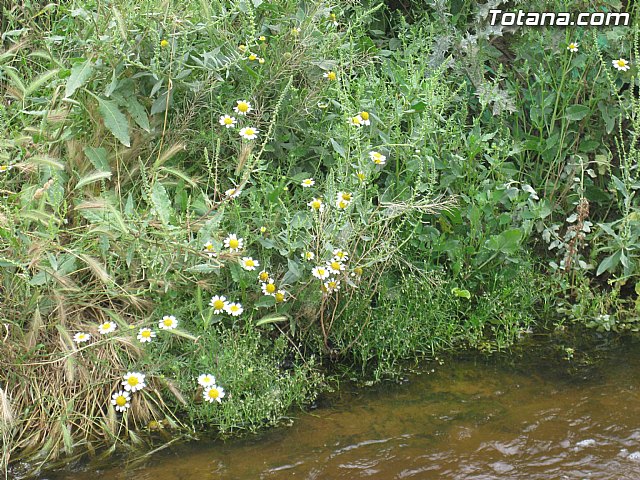 IU-Verdes pone en evidencia 