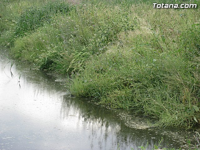 IU-Verdes pone en evidencia 