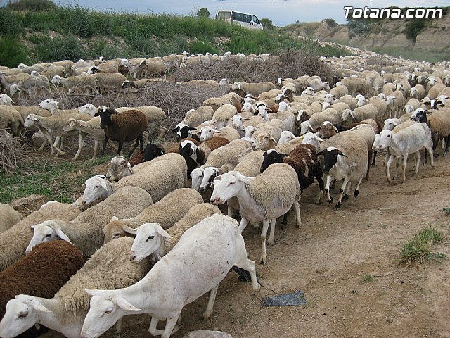 IU-Verdes pone en evidencia 