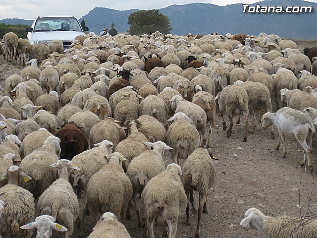 IU-Verdes pone en evidencia 