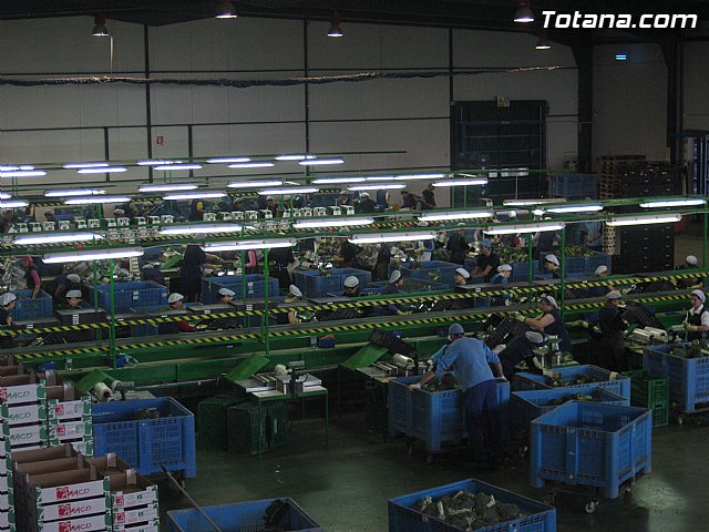 Rueda de prensa PP Totana. Propuestas en materia de agricultura y ganadera - 2