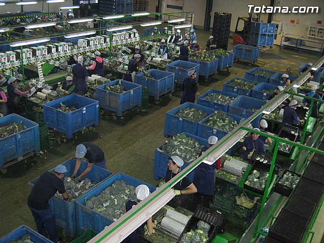 Rueda de prensa PP Totana. Propuestas en materia de agricultura y ganadera - 4