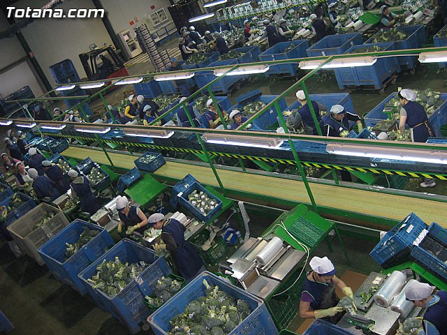 Rueda de prensa PP Totana. Propuestas en materia de agricultura y ganadera - 5