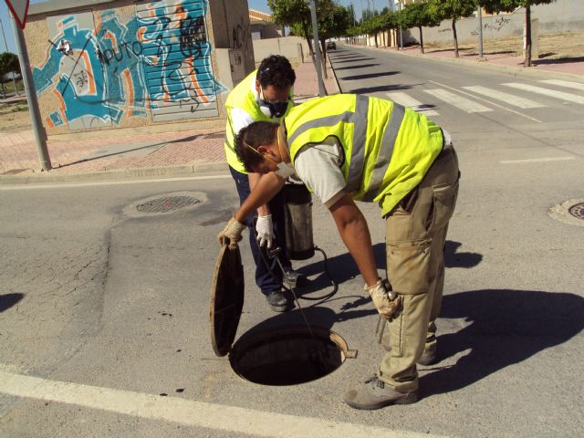 El Ayuntamiento de Alhama intensifica la desinsectacin del municipio y pedanas, Foto 1