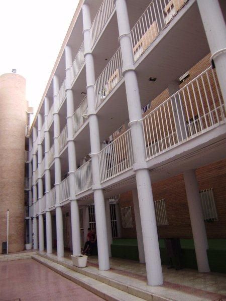 Un total de 46 personas finalizan su formación en talleres de alfabetización y pintura - 4, Foto 4