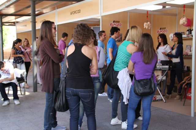 Prestigiosas empresas de la Región abren sus puertas a los estudiantes de la UCAM - 1, Foto 1