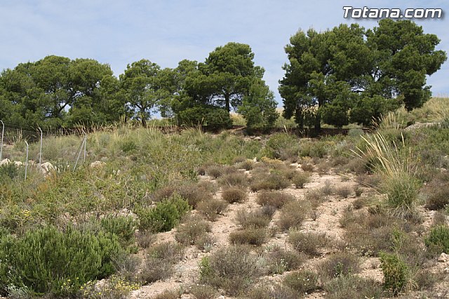 Propuestas IU-verdes en materia de desarrollo econmico - 5