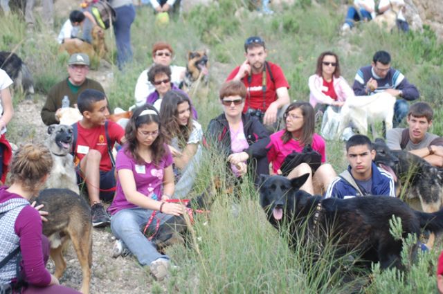 Cerca de 150 personas participaron, acompañadas de otros tantos perros, en la i marcha solidaria 'ladra, camina y aprende' - 2, Foto 2