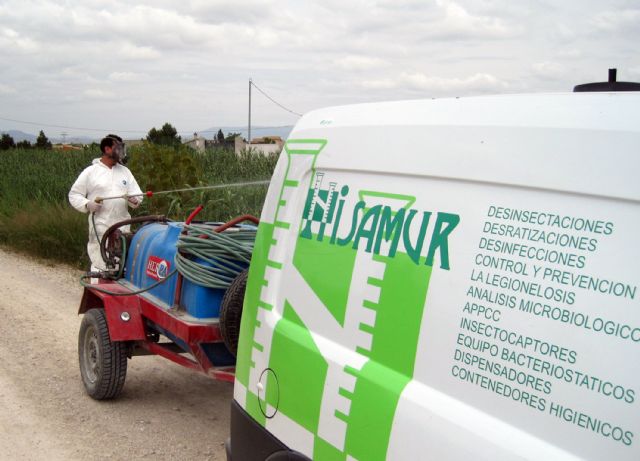 Los mosquitos lo tienen crudo en Las Torres de Cotillas - 1, Foto 1