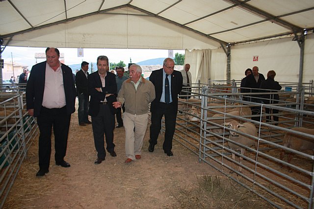 Cerdá destaca el esfuerzo de los ganaderos en conseguir la calidad diferenciada del cordero segureño - 1, Foto 1