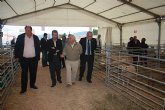 Cerd destaca el esfuerzo de los ganaderos en conseguir la calidad diferenciada del cordero segureño