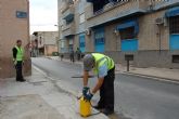 Comienza en Alguazas la campaña de control de plagas