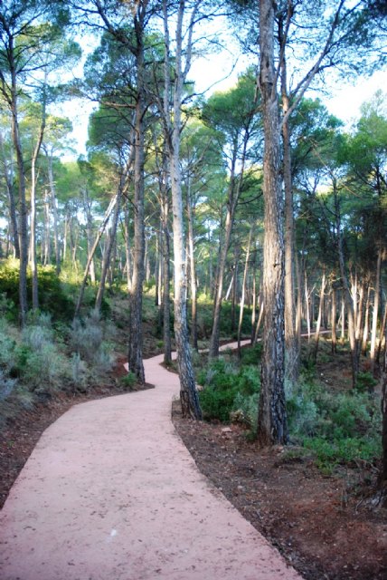 La Comunidad organiza actividades para todos los pblicos con motivo del Da Europeo de los Parques, Foto 1