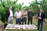 Agricultura muestra la produccin de 70 variedades de cerezo, en una finca experimental de Jumilla